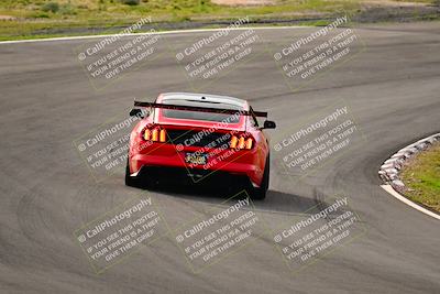 media/Feb-25-2024-Speed Ventures (Sun) [[b9a2a97a4d]]/Mustang Drivers Club/Session 1 (Turns 4 and 5)/